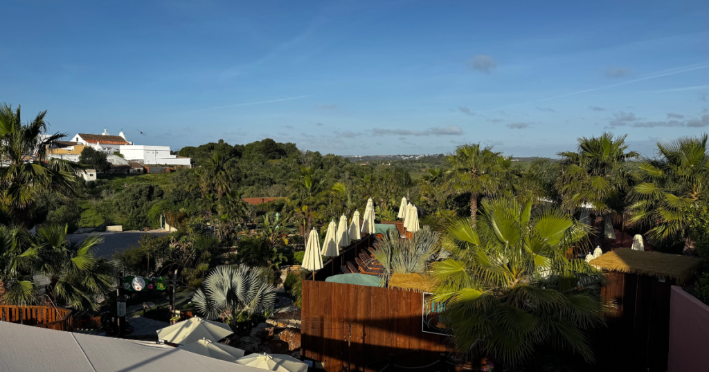 1 Day in Alvor The Perfect Itinerary